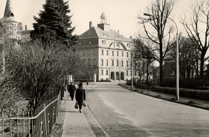 Senftenberg